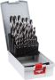 Bosch HSS spiraalboor | PointTeQ | 25-delige ProBox - Thumbnail 1
