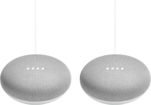 Google Nest Mini Wit Duo Pack