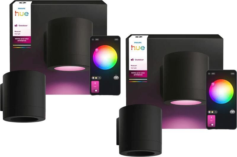 Philips Hue Muscari Muurspot Buiten Duo Pack