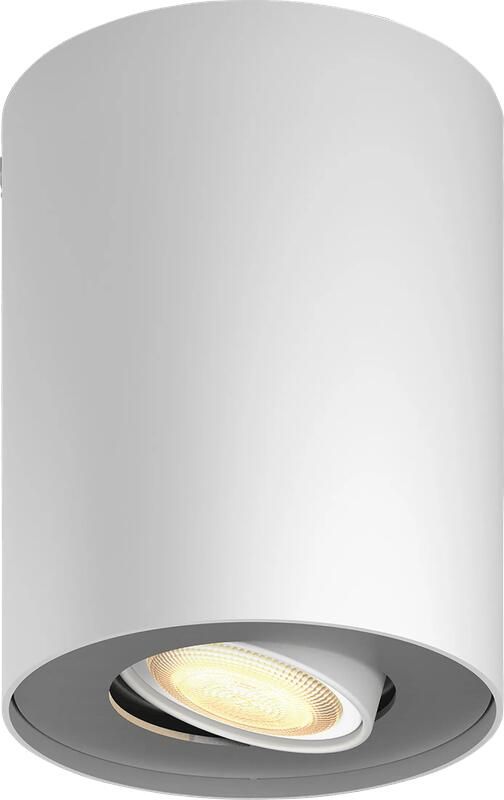 Philips Hue Pillar Opbouwspot White Ambiance Wit 1-spots