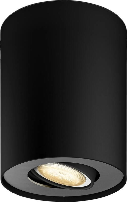 Philips Hue Pillar Opbouwspot White Ambiance Zwart 1-spots