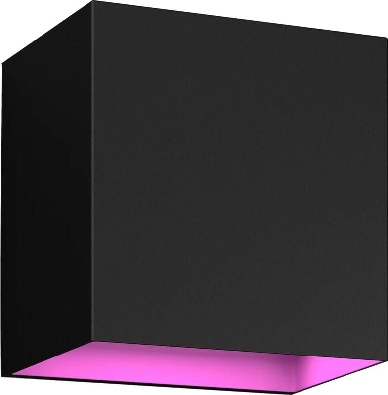 Philips Hue Resonate Downward White and Color zwart