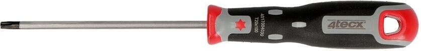 4tecx Torx schroevendraaier T20 100mm