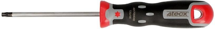4tecx Torx schroevendraaier T25 100mm