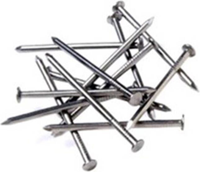 Algemeen DQ stalen nagel 3.0x30mm ck (100st)