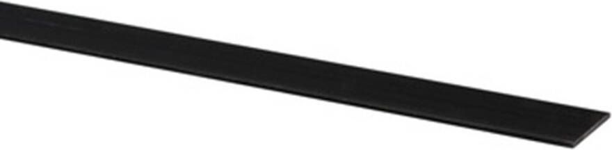 Algemeen Plat kunststof profiel zwart 40x2mm (300cm)