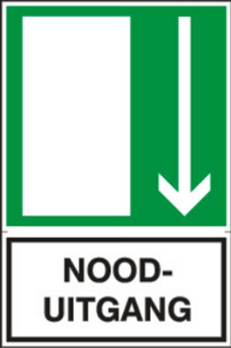 Artelli Nooduitgang d1409