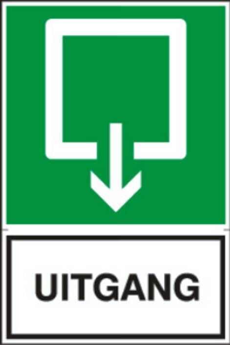 Artelli Uitgang