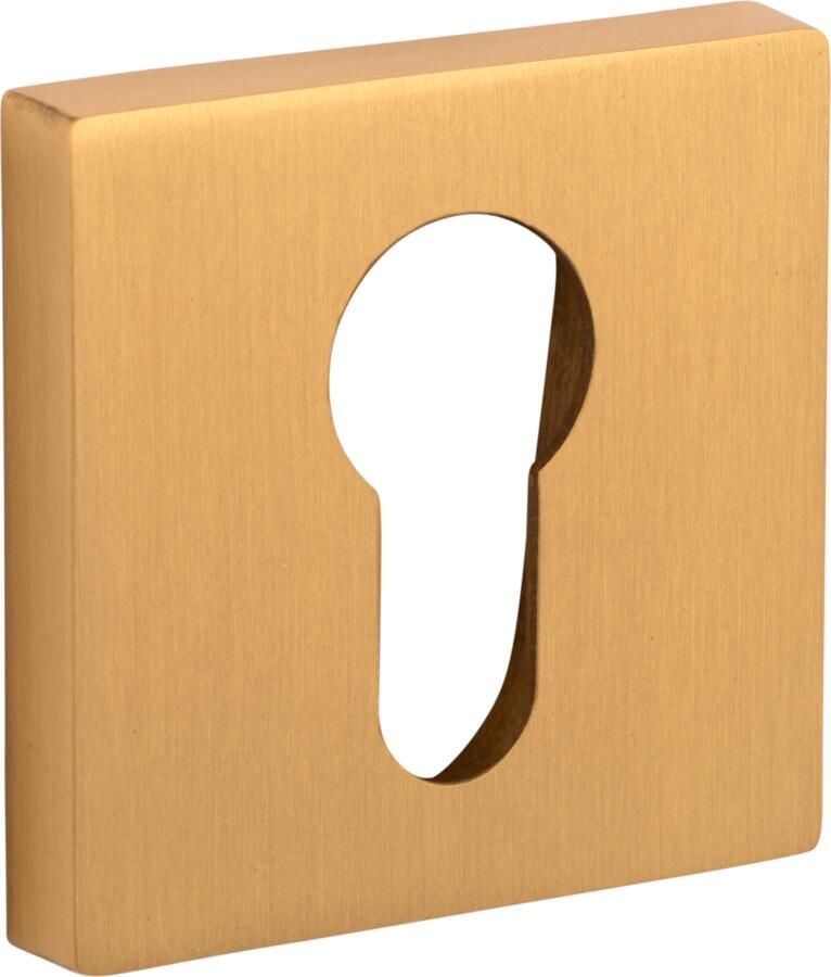 Artitec Wallebroek Cilinderrozet Bauhaus verdekt MMG