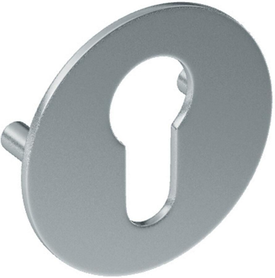 Artitec Wallebroek Cilinderrozet paar SF rvs mat PC