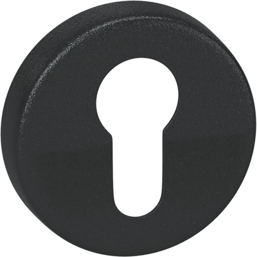 Artitec Wallebroek Cilinderrozet paar WCX zwart