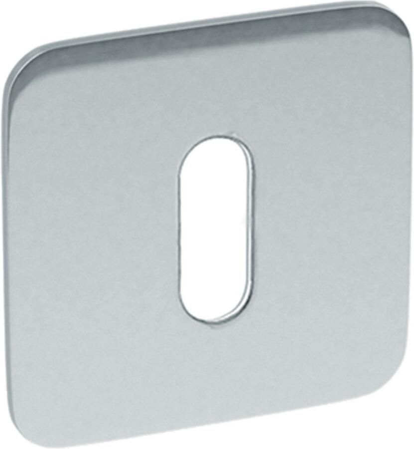 Artitec Wallebroek Sleutelrozet paar 4knt SF2 rvs glans