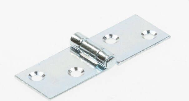 Axa Klepscharnier backflap geg. 20x60