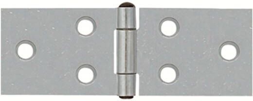 Axa Klepscharnier backflap geg. 20x80