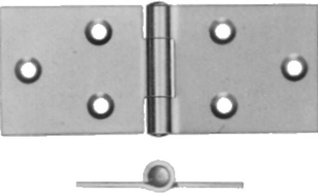 Axa Klepscharnier backflap geg. 28x80