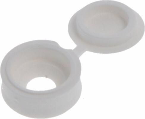 Dak & Gevel Dak&Gevel Afdekkap Kunststof Wit Voor Schroef 5Mm | 100 stuks 6305.50.20501