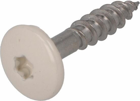 Dak & Gevel Dak&Gevel Kleurkopschroef Rvs-A2 Beige Ral1013 4.8X25 | 50 stuks 6304.30.37120