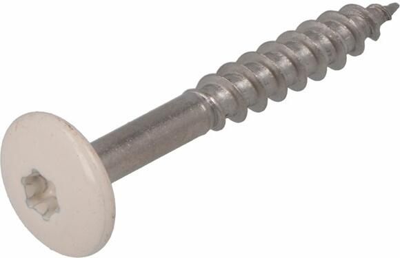 Dak & Gevel Dak&Gevel Kleurkopschroef Rvs-A2 Crèmewit Ral9001 4.8X38 | 50 stuks 6304.30.37525