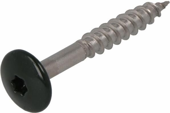 Dak & Gevel Dak&Gevel Kleurkopschroef Rvs-A2 Groen Ral6009 4.8X25 | 50 stuks 6304.30.37122