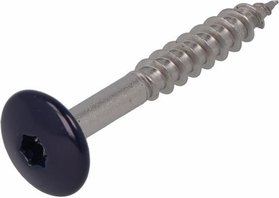 Dak & Gevel Dak&Gevel Kleurkopschroef Rvs-A2 Staalblauw Ral5011 4.8X38 | 50 stuks 6304.30.37533
