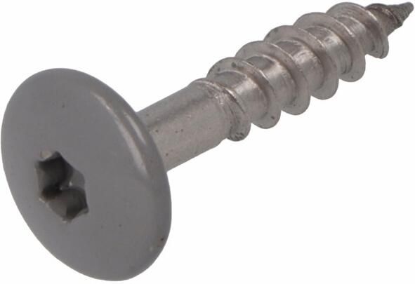 Dak & Gevel Dak&Gevel Kleurkopschroef Rvs-A2 Stofgrijs Ral 7037 4.8X38 | 50 stuks 6304.30.37534