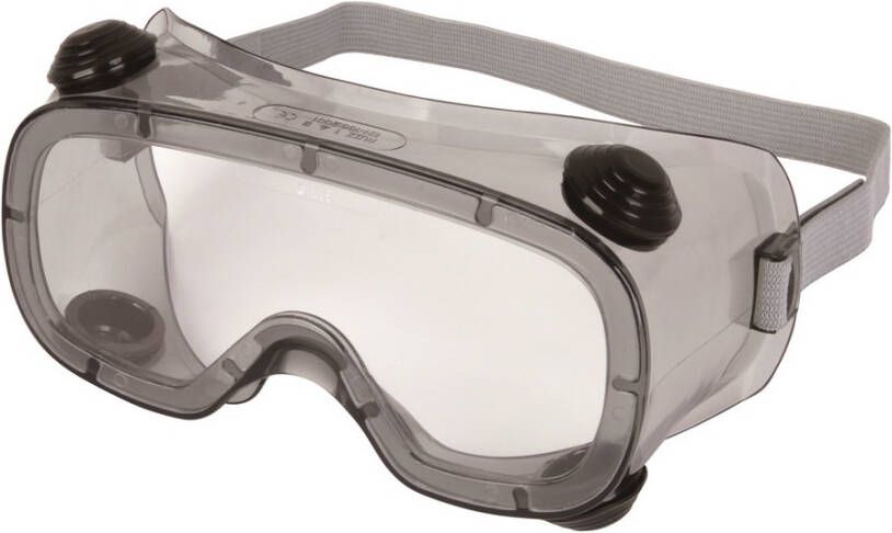 DELTAPLUS Delta Plus ruimzichtbril RUIZ1VI polycarbonaat kleurloos