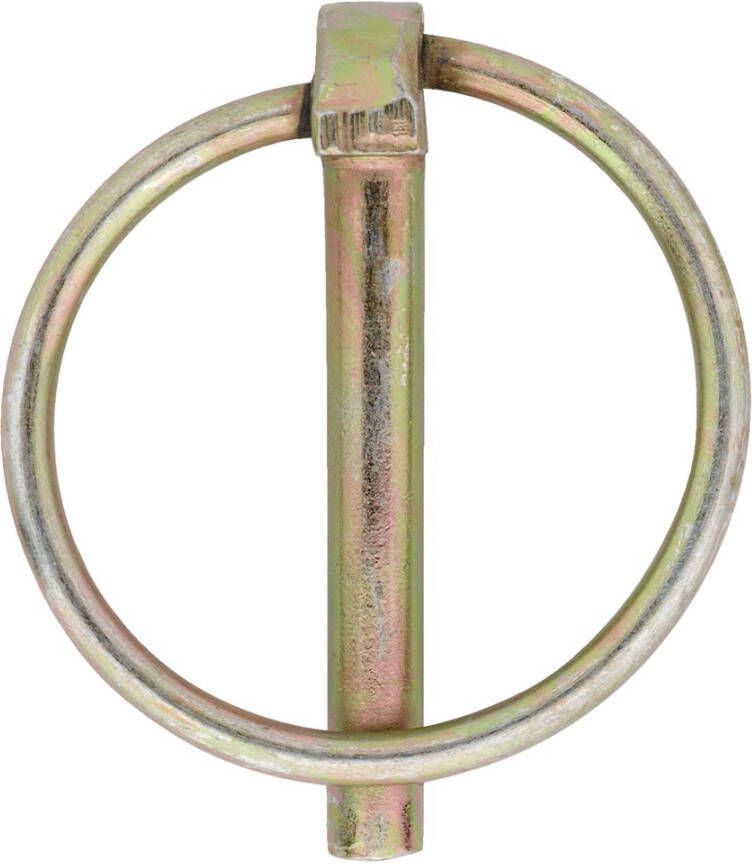 Dulimex Borgpen vz 4.5mm met ronde ring