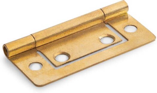 Dulimex Louvredeurscharn.50x24 vermes.