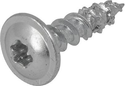 Dynaplus Achterwandschroef Verzinkt Laagbolkop Voldraad Torx TX15 4.0X17 | 200 stuks 0287.10.24701 - Foto 2