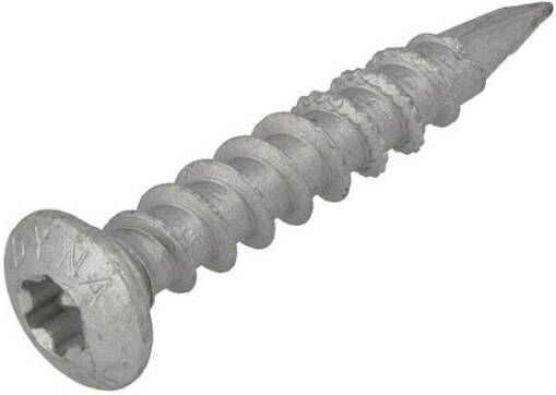 Dynaplus Paalhouderschroef Ar-Silver Ovk Torx TX40 10.0X50 | 50 stuks 0288.08.69901