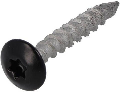 Dynaplus Tuinbeslagschroef Ar-Silver Ovk Zwarte Kop Torx TX30 6.0X40 | 50 stuks 0288.08.49604