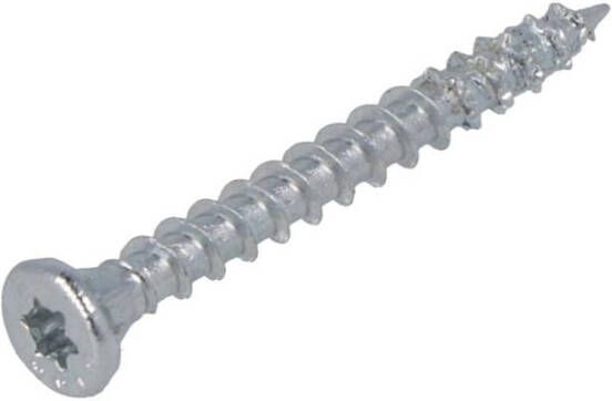 Dynaplus Constructieschroef Vz Pk +Snijpunt Torx TX30 6.0X100 55 | 100 stuks 0281.01.50601