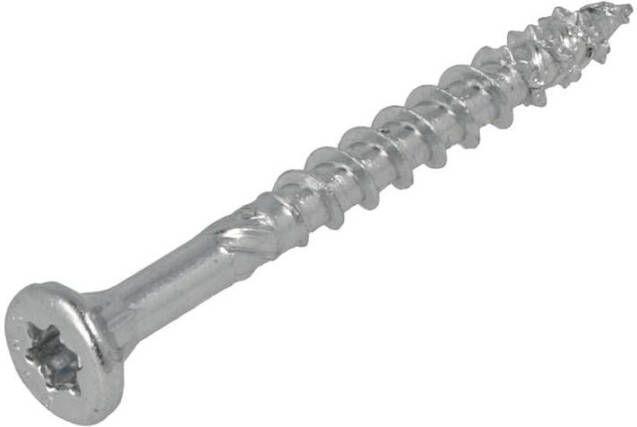 Dynaplus Constructieschroef Vz Pk +Snijpunt Torx TX30 6.0X100 55 | 100 stuks 0281.01.50601