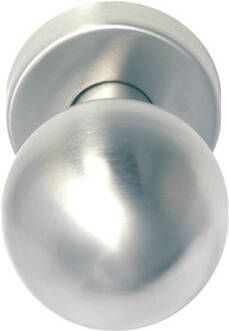 GYZS Ronde knop 50mm vast op rozet 54mm rvs