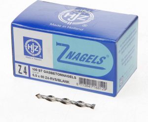 Hjz Gasbetonnagel rvs 6.0x60 (100)