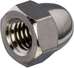 Hoenderdaal Dopmoer rvs A2 M16 DIN1587
