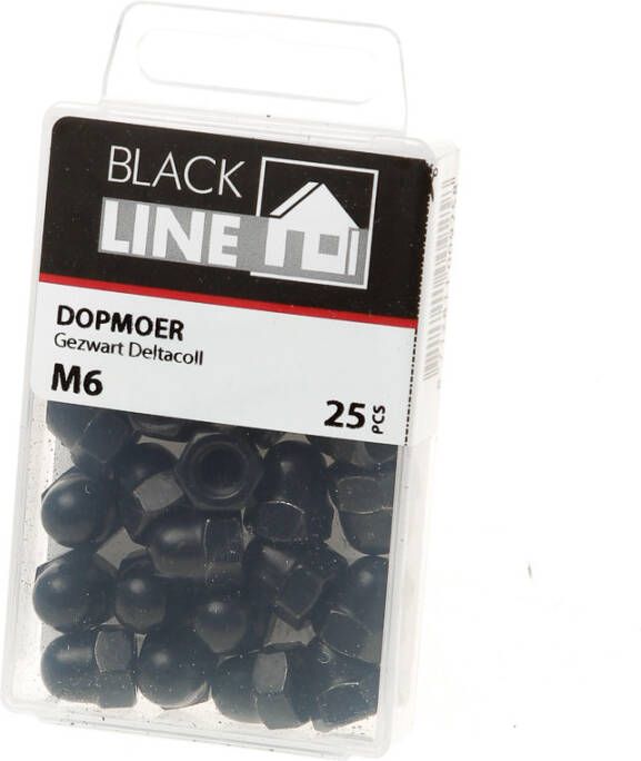 Hoenderdaal Dopmoer zwart din1587 M6 Blister(25 stuks)