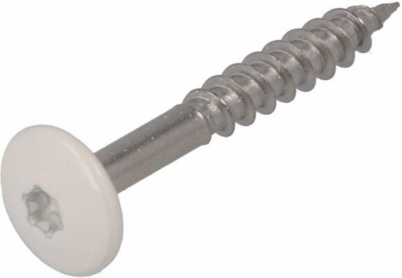 Dak & Gevel Dak&Gevel Kleurkopschroef Rvs-A2 Wit Ral9010 4.8X38 | 50 stuks 6304.30.37524