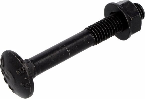 Blackline Tuinbeslagschroef Ar-Coating Ovk Zwarte Kop Torx TX30 6.0X40 | 30 stuks 6904.30.86040 - Foto 13