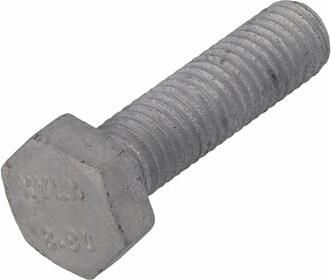 Hoenderdaal Fasteners Hoenderdaal Tapbout Thvz 8.8 Sw-19 Iso Din933 M12X25 | 100 stuks 1840.03.73101 - Foto 2