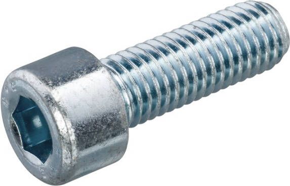 Hoenderdaal Fasteners Hoenderdaal Binnenzeskantbout Vz 8.8 Ck Ib-10 Din912 M12X55 | 100 stuks 2160.11.73951 - Foto 2