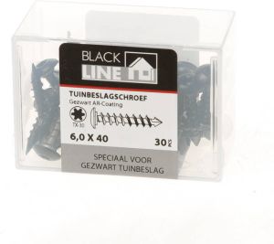 Hoenderdaal Tuinbeslagschr.AR-COAT.OVK zwart TX30(30)