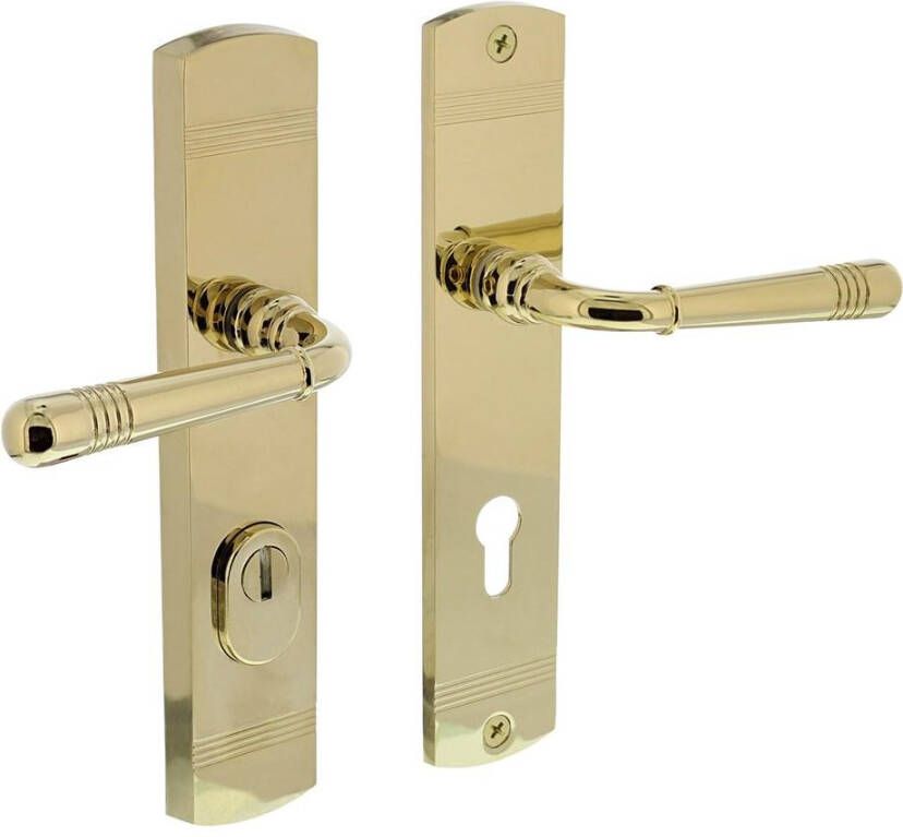 Intersteel Achterdeurbeslag Emily kruk kruk profielcilindergat 72mm met kerntrekbeveiliging PVD messingkleur