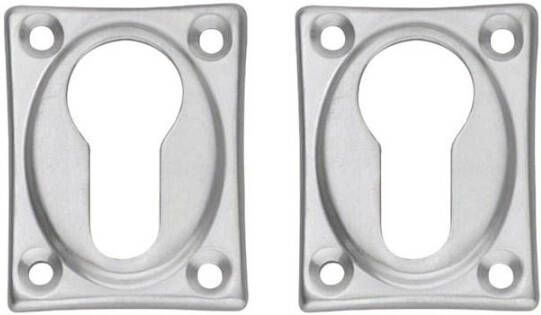 Intersteel Cilinderrozetten 47x37x5mm Chroom M PC 47x37x5 Chroom