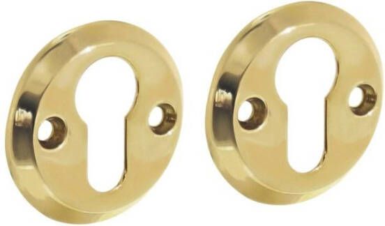 Intersteel Cilinderrozetten !50x5mm Messing GE PC !50x5 Messing