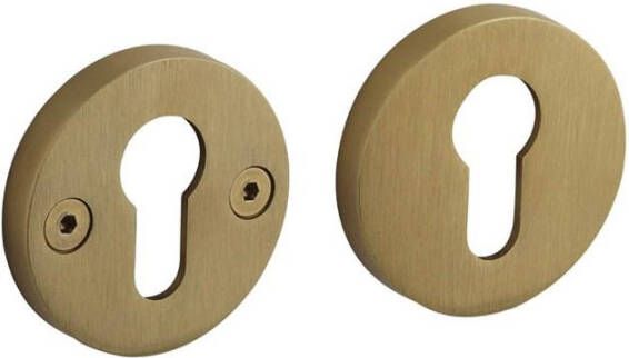 Intersteel Cilinderrozetten éénzijdig verdekt ø55x8mm met nokken ø8mm PVD messing mat