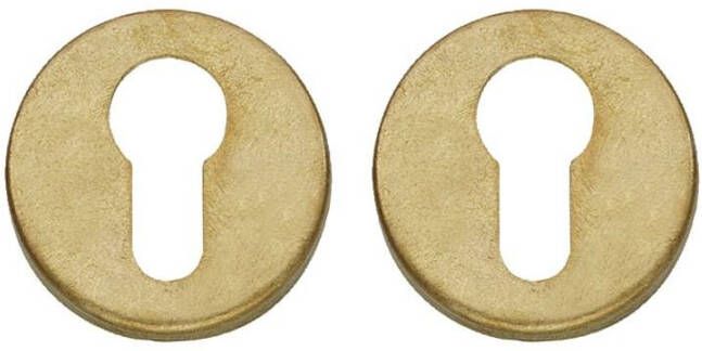 Intersteel Cilinderrozetten verdekt ø49x7mm messing getrommeld