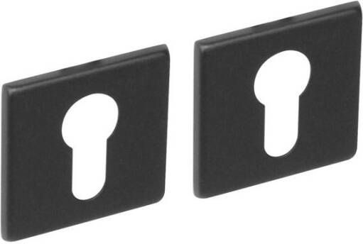 Intersteel Cilinderrozetten verdekt 50x50x5mm structuur zwart