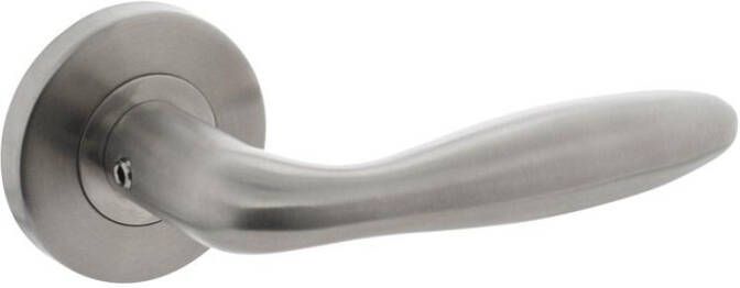 Intersteel Deurkr.Jupiter op rozet rvs geborst.