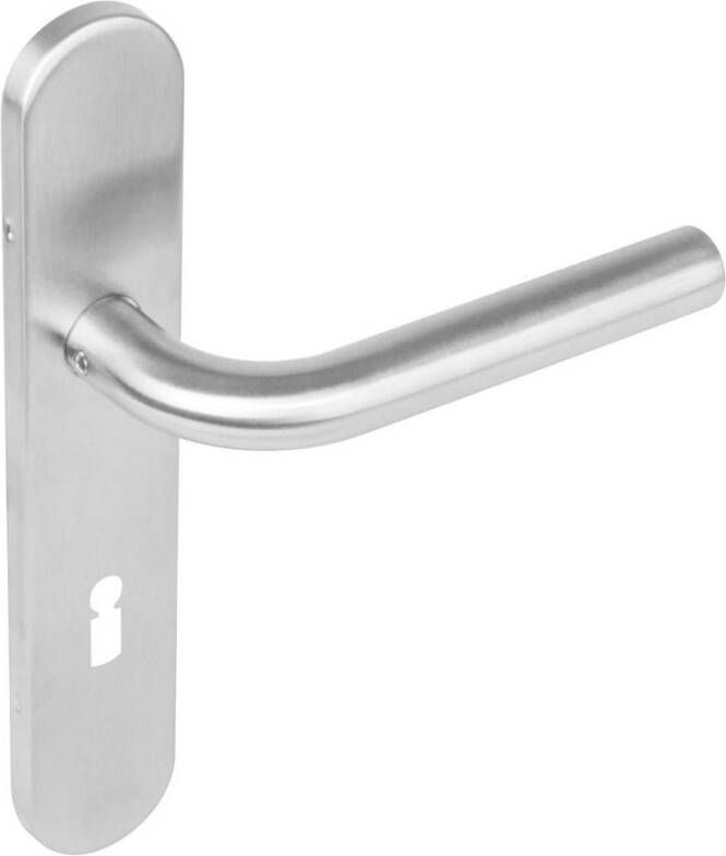 Intersteel Deurkr.Recht schild sl.gat 72 mm rvs geborst.